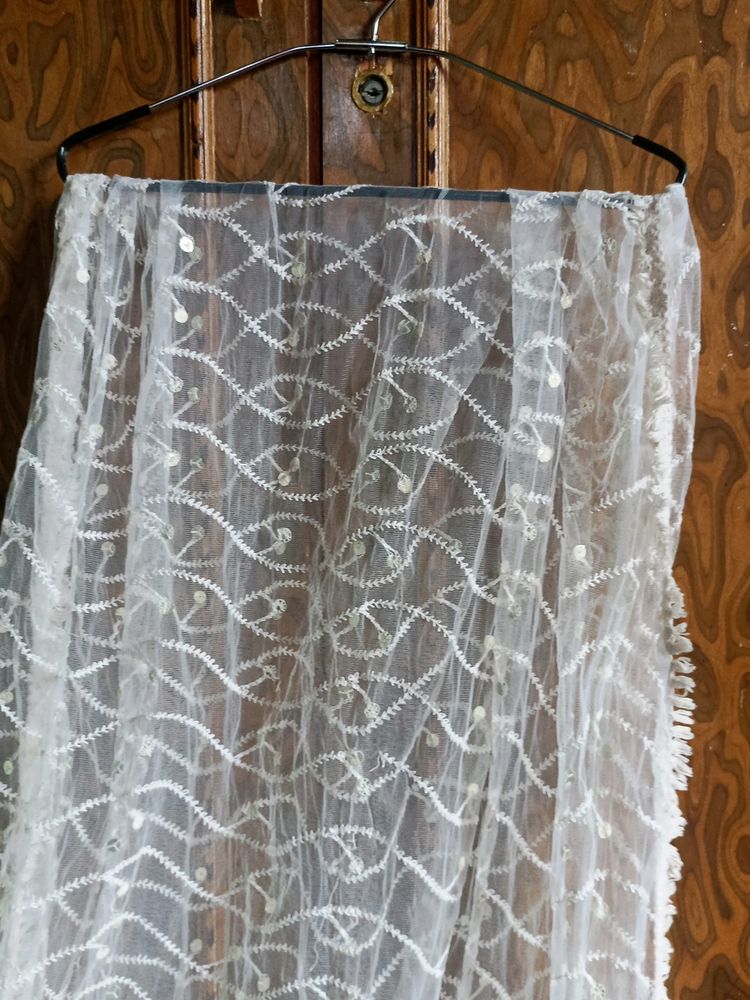 Beautiful Dupatta Of Net Very Pretty For Festivals