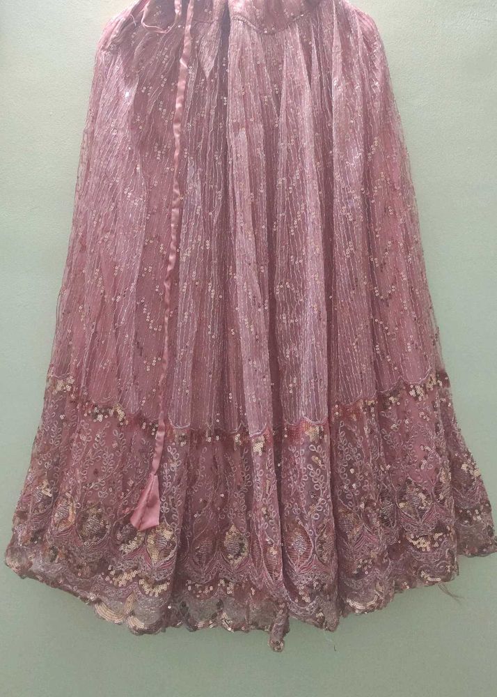 Sparkling Pink Net Lehenga