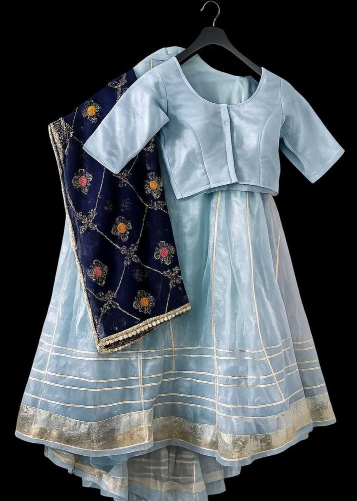 beautiful vintage Lehenga Choli Set