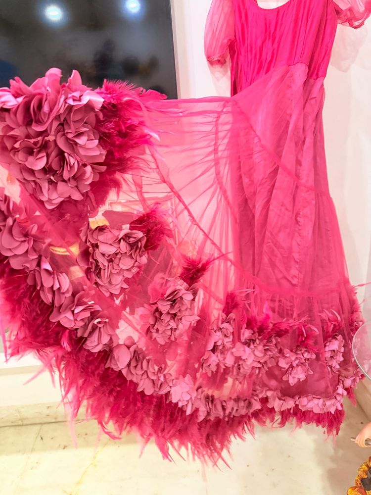 3D Stunning Pink Feather Gown