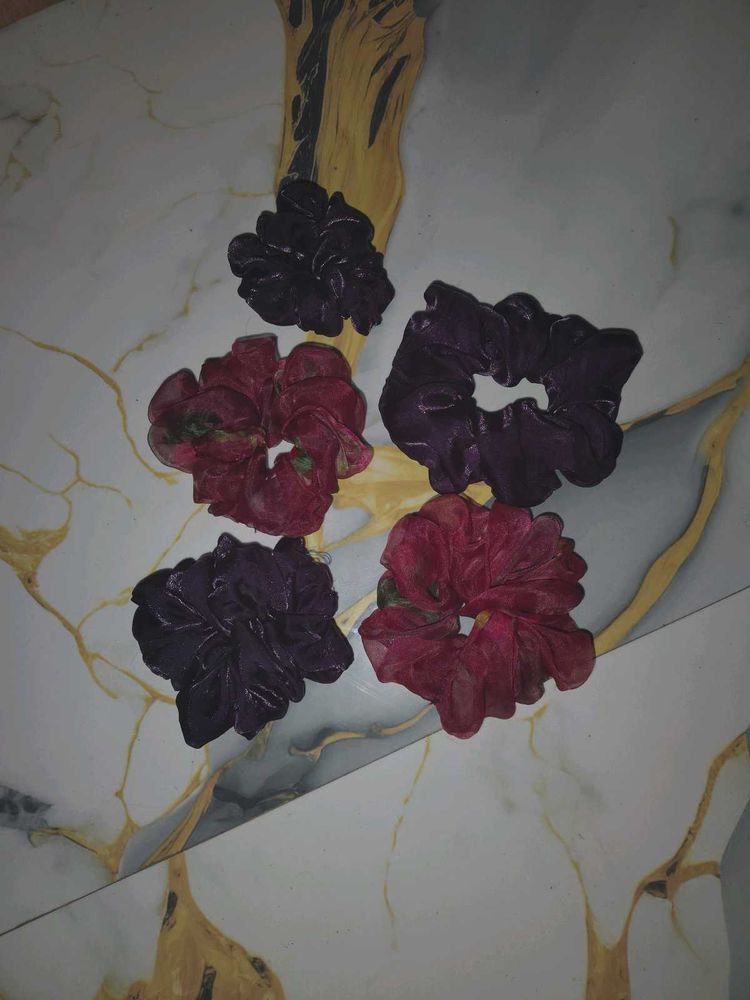 Set of 5 Chic Hair Scrunchies
