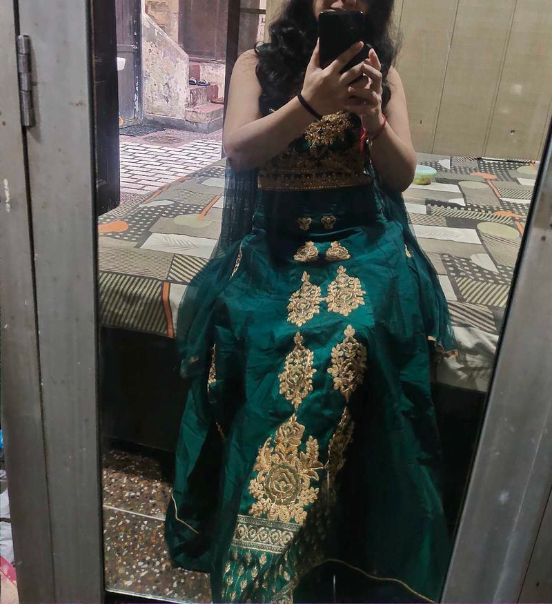 Elegant Green long gown dress ethnic wth dupata