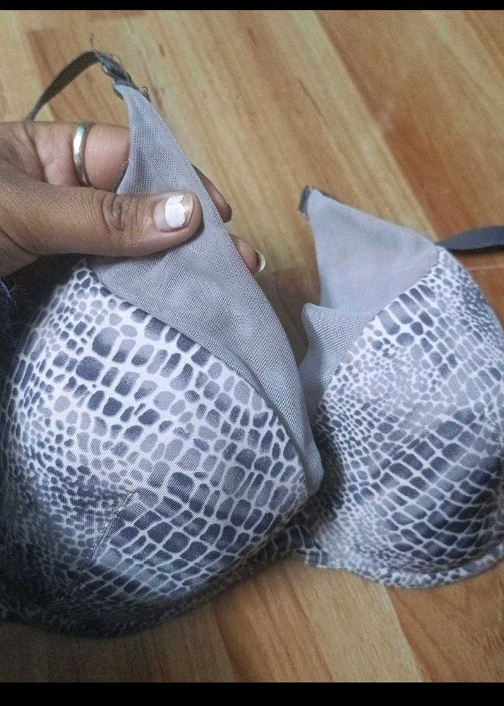 Animal Print Bra