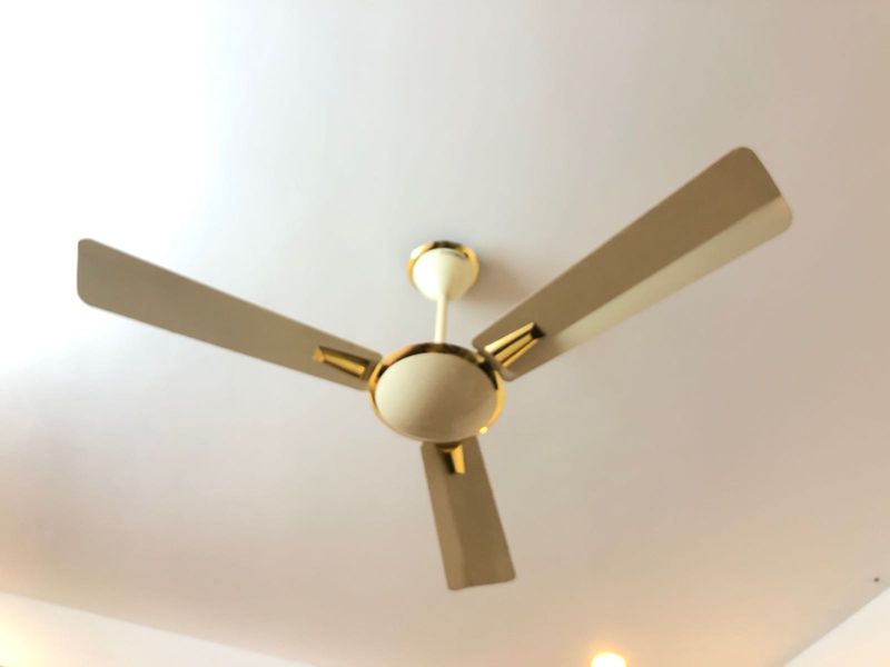 Elegant Ceiling Fan