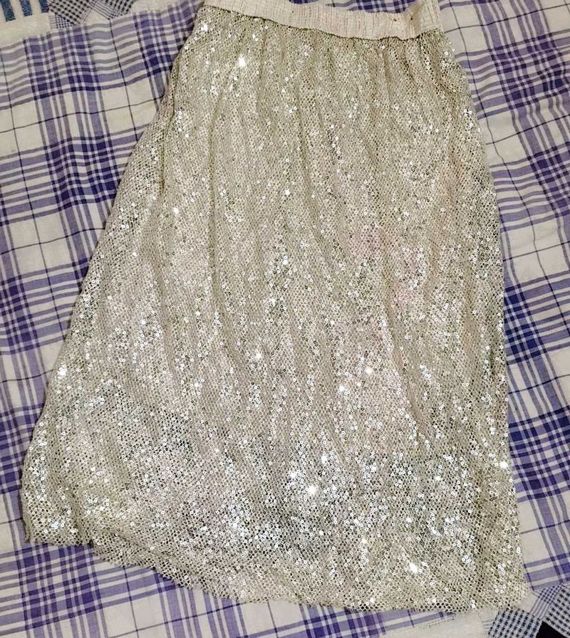 Very Fancy Sequin Work Skirts
