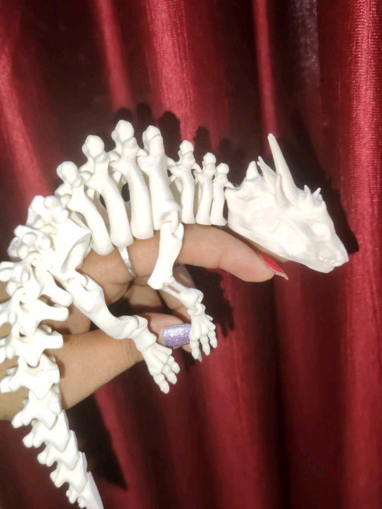 Dinosaur Skeleton Model