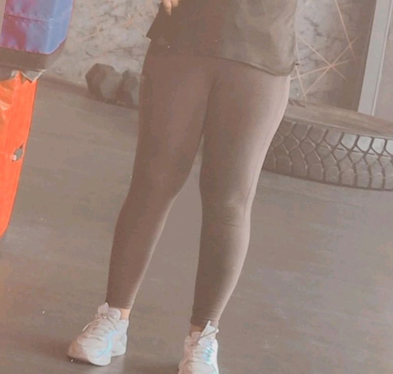 Lovable Olive Green Tights