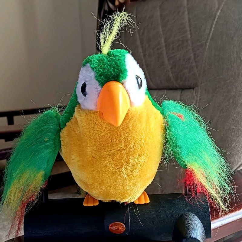 TalkBack Parrot Toy