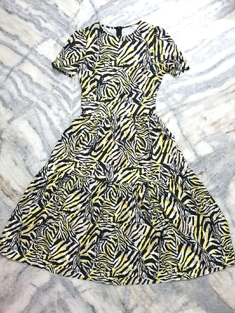 🦓Zebra Print Fit &amp; Flare Dress