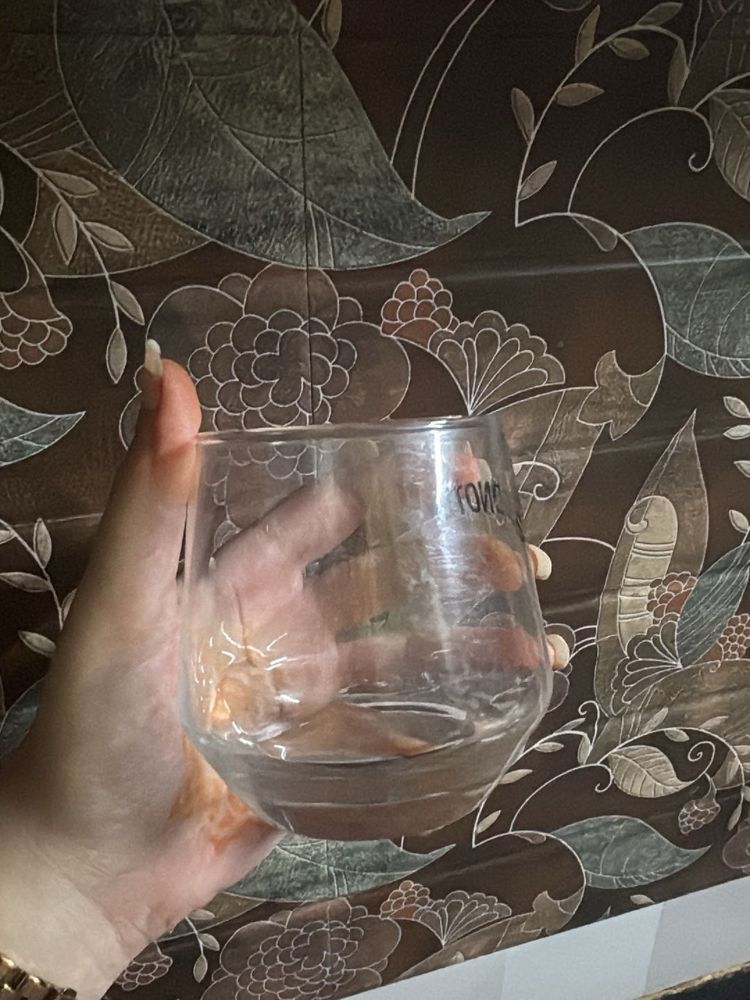 pack of 6 Elegant Stemless Glass
