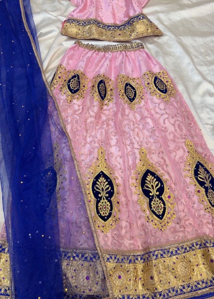 Pink &amp; Blue Embroidered Lehenga Choli