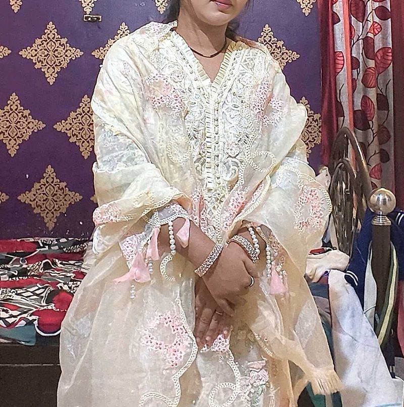 Elegant Embroidered Salwar Kameez