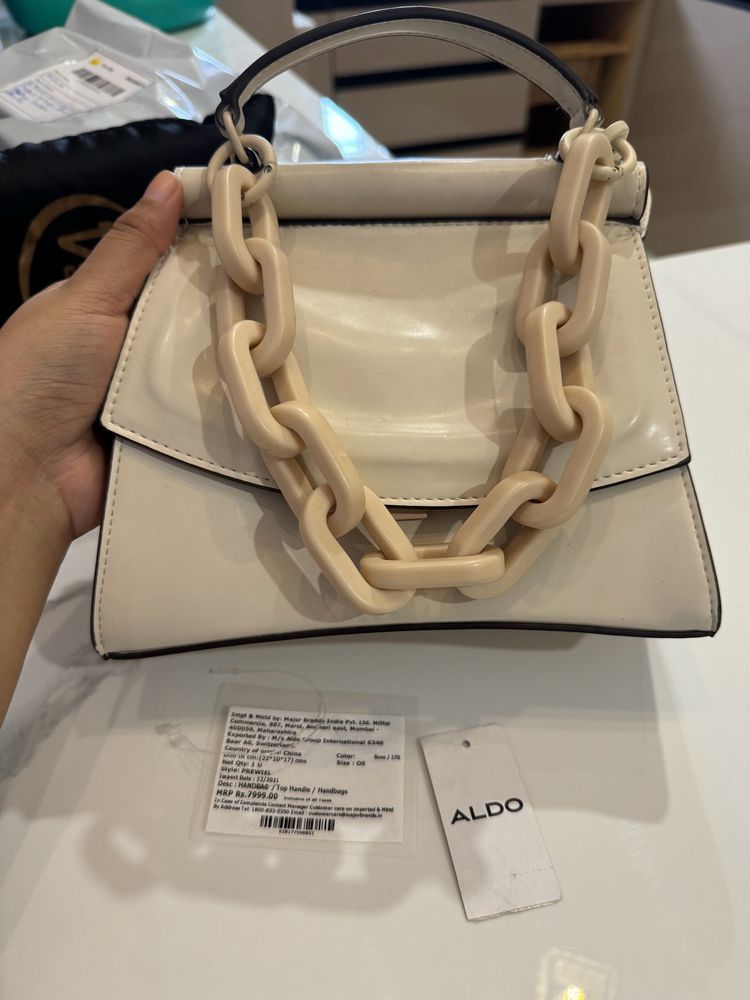 ⭐️ALDO⭐️ Classic handbag Matte Chain