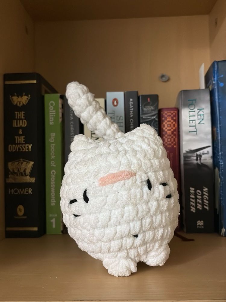 Customized Crotchet Cat plushie