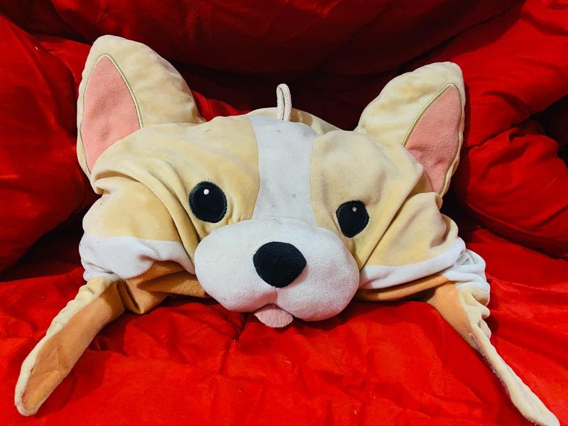 Cute Dog Hooded Plush Costume