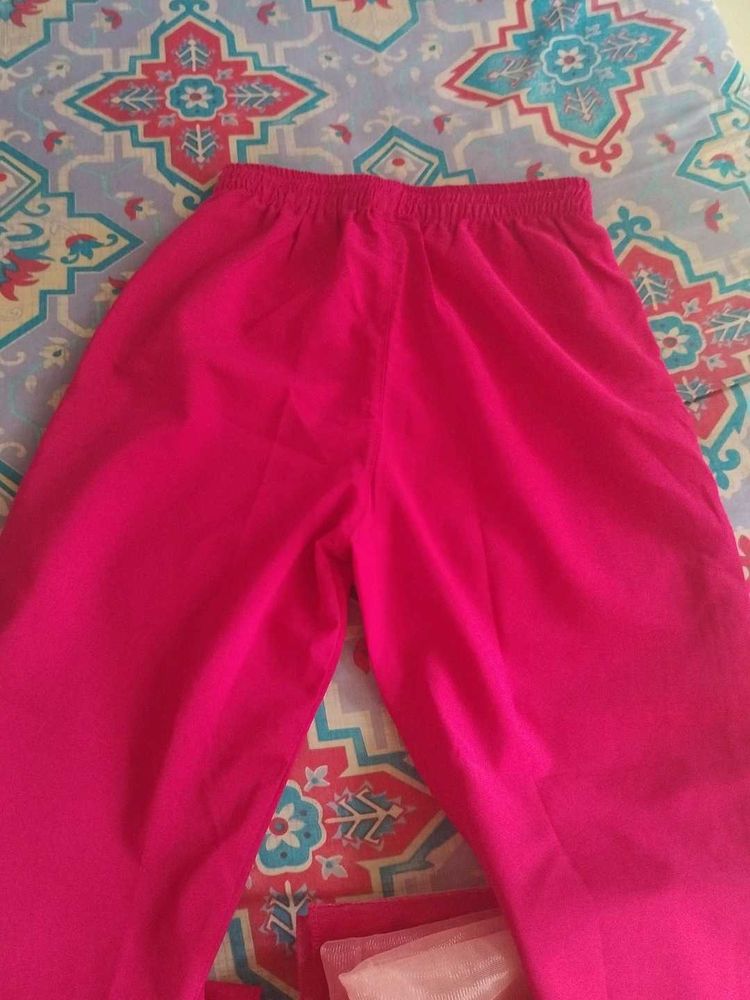 Vibrant Pink Palazzo Pants