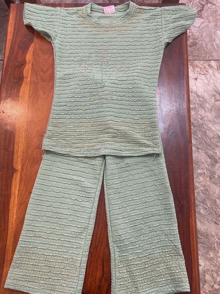 Light Green Textured pallazo set