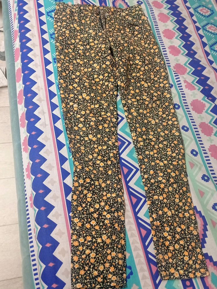 trendy pant