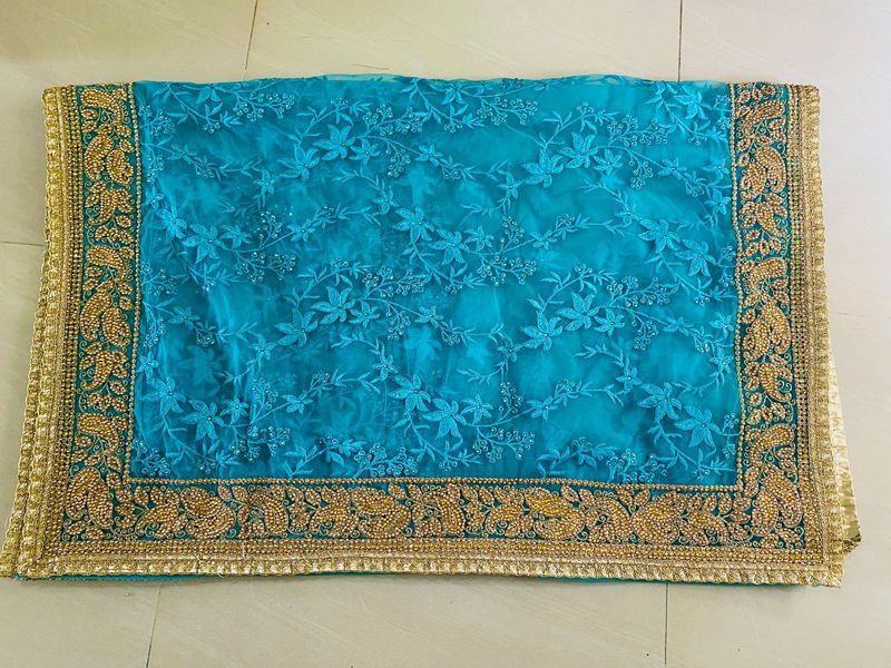 Elegant Aqua Net Saree