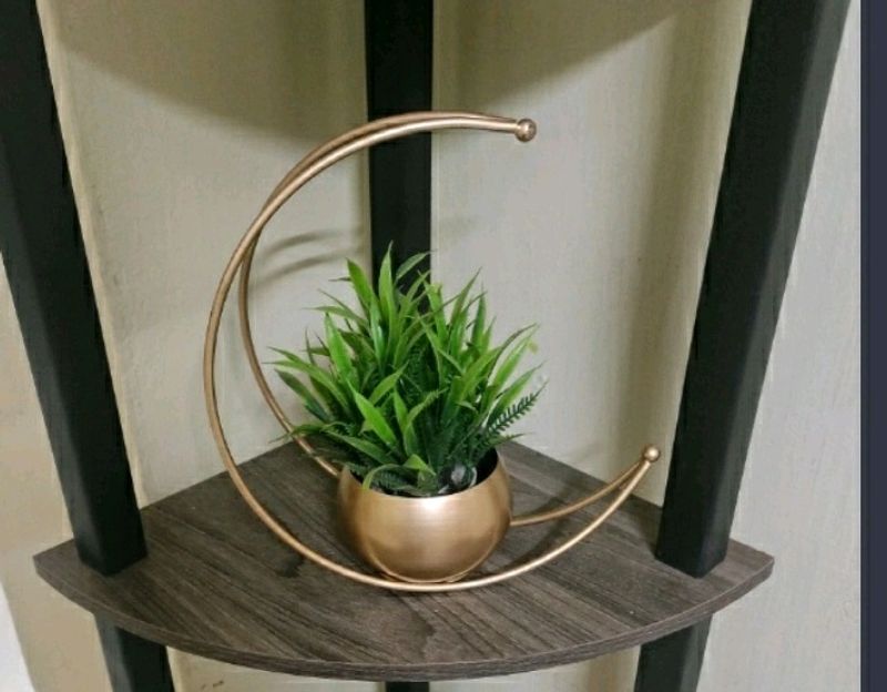 Designer Moon Shape Vase For Hone Pack Of 4