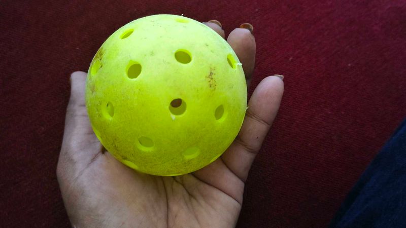 Pickleball Ball