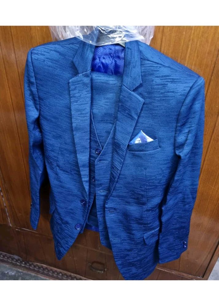 Blue Textured Coat pant