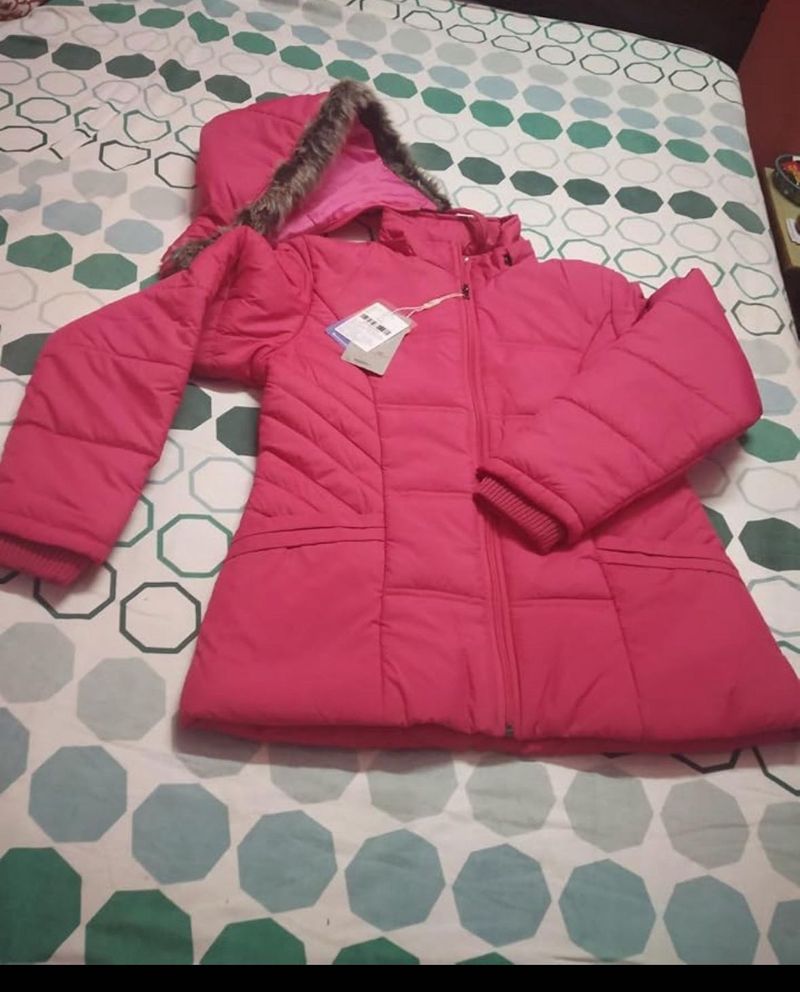 Absolutely new with tag