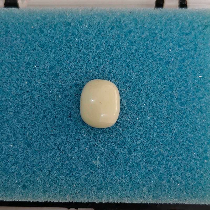Unique Cream oval white real coral Cabochon Gemsto
