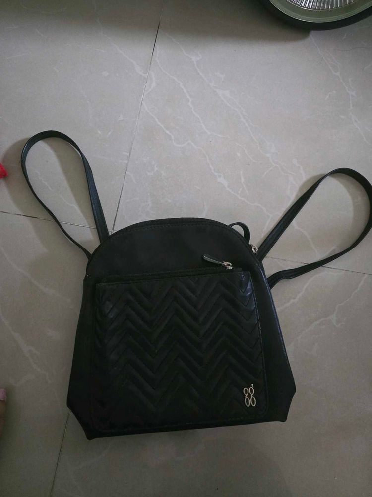 Baggit Bag