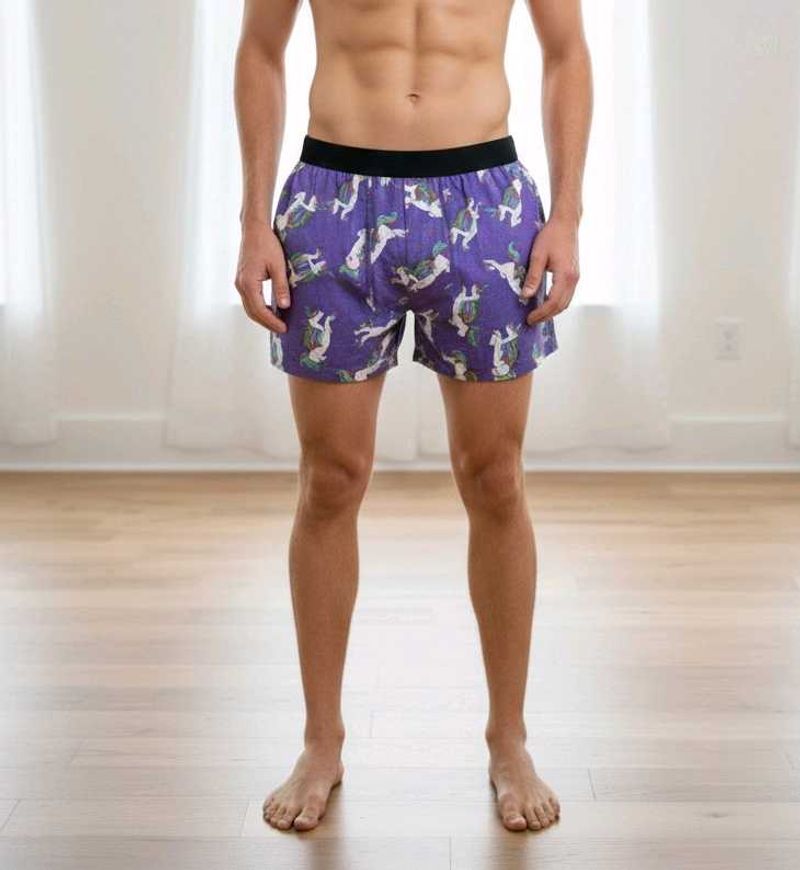 MEUNDIES flying unicorn Boxer Shorts