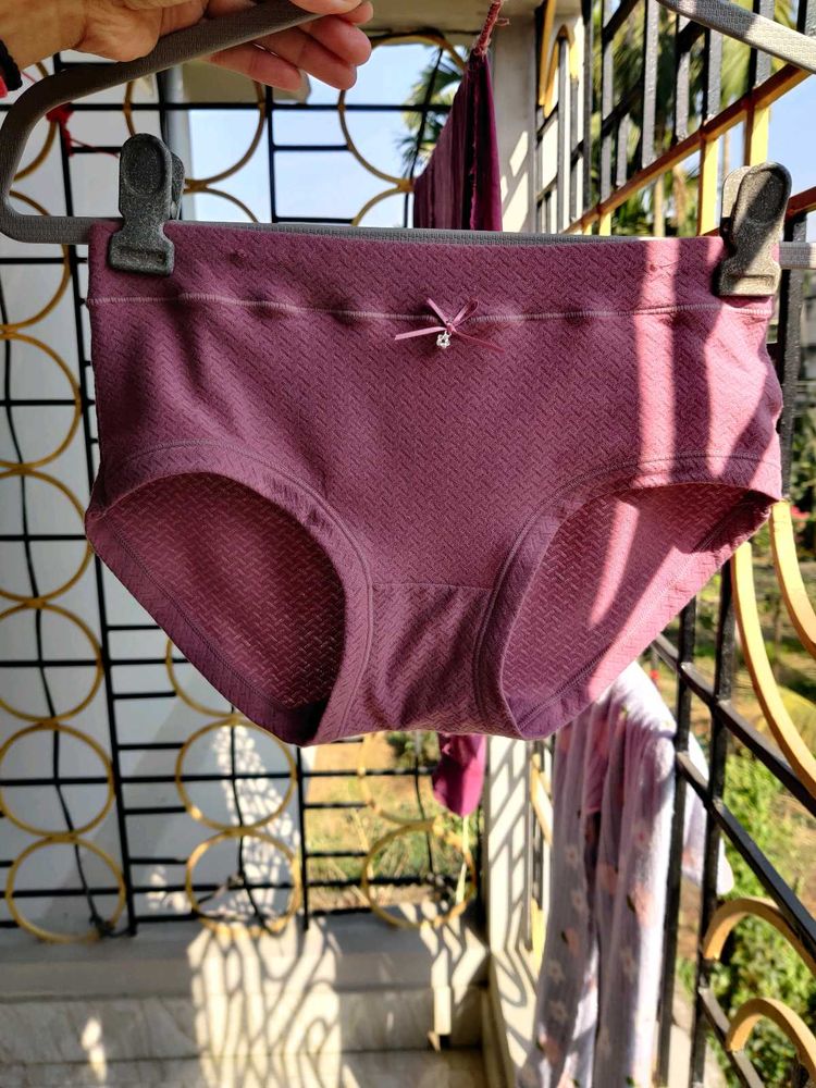 New Fancy Brief