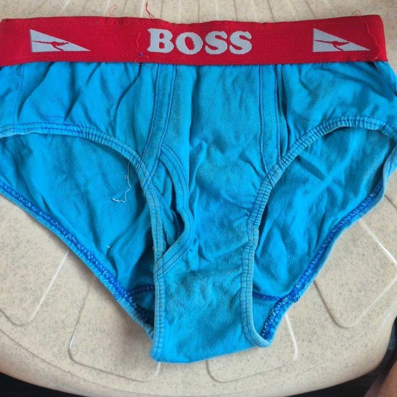 BOSS Blue Briefs