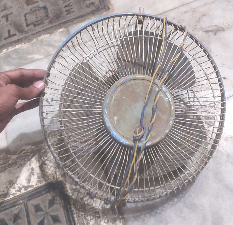 Branded Fan For Room