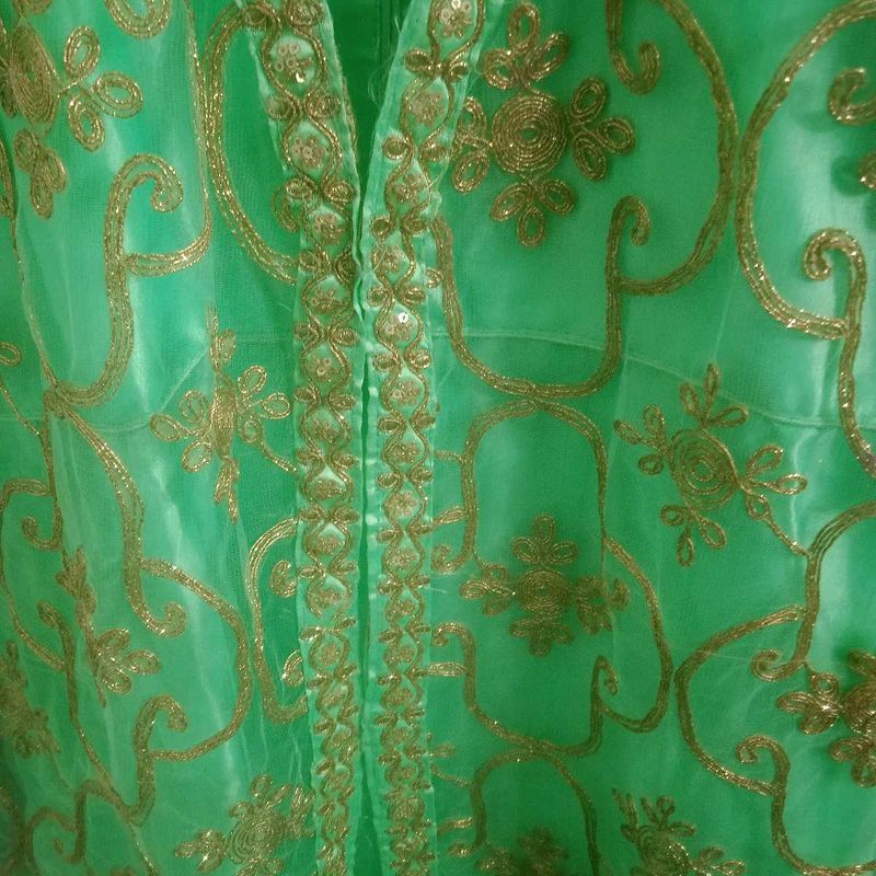 Mint Green &amp; Gold Embroidered Dress