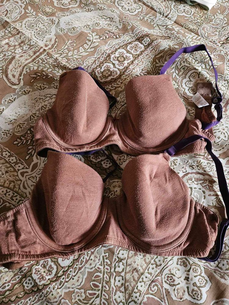 Zivame Padded Wired T Shirt Bras
