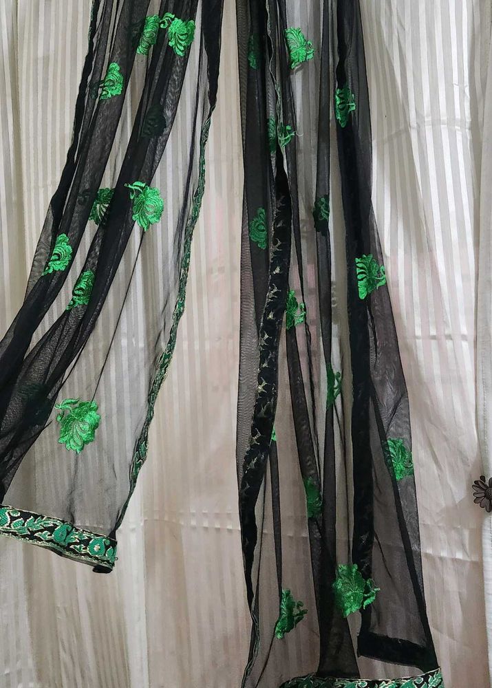 Elegant Black Saree with Green Embroidery