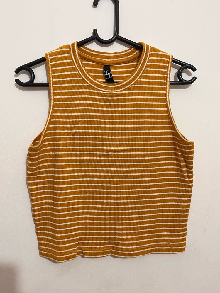 Striped Mustard Crop Top