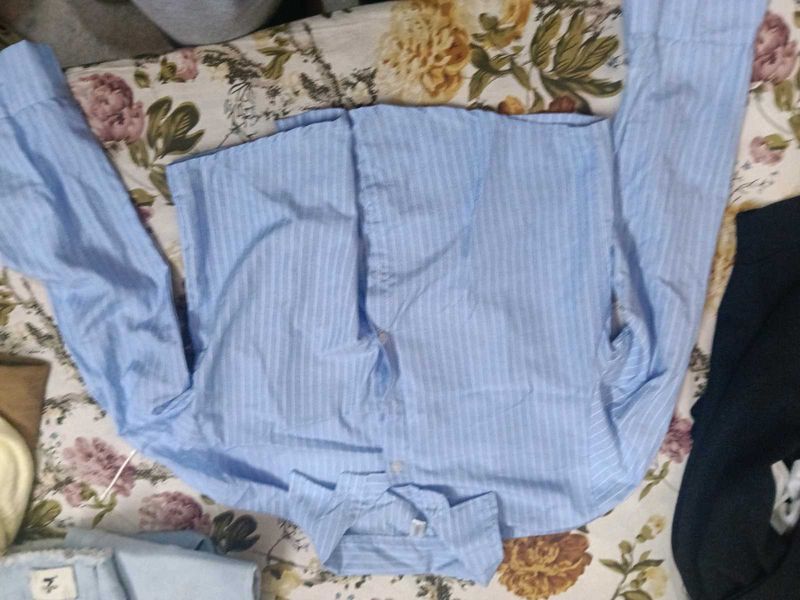 cropped blue shirt