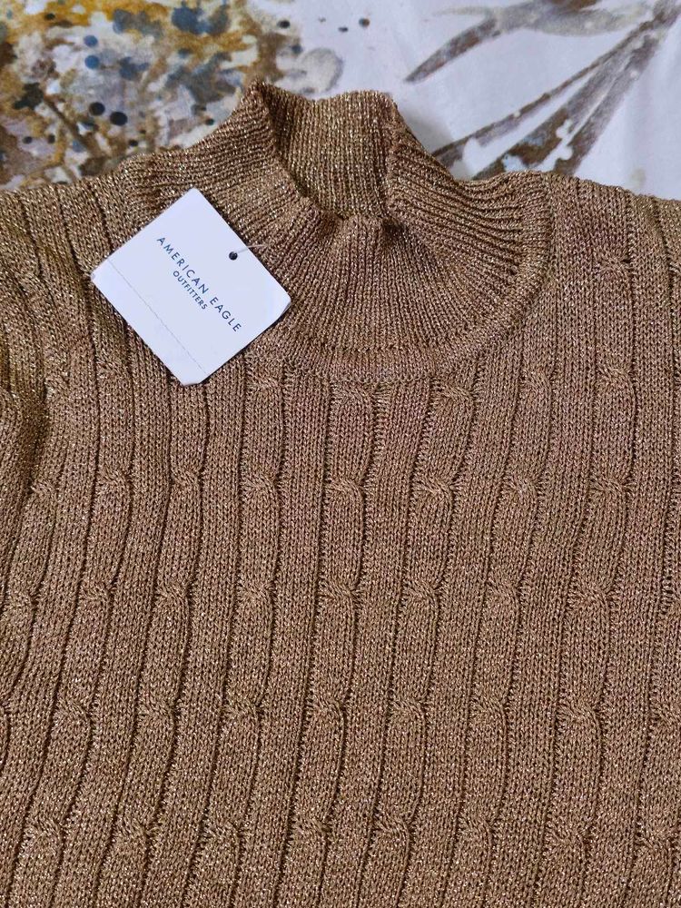 American Eagle Knit Turtleneck Sweater