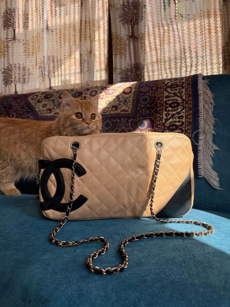 Chanel Quilted Bag