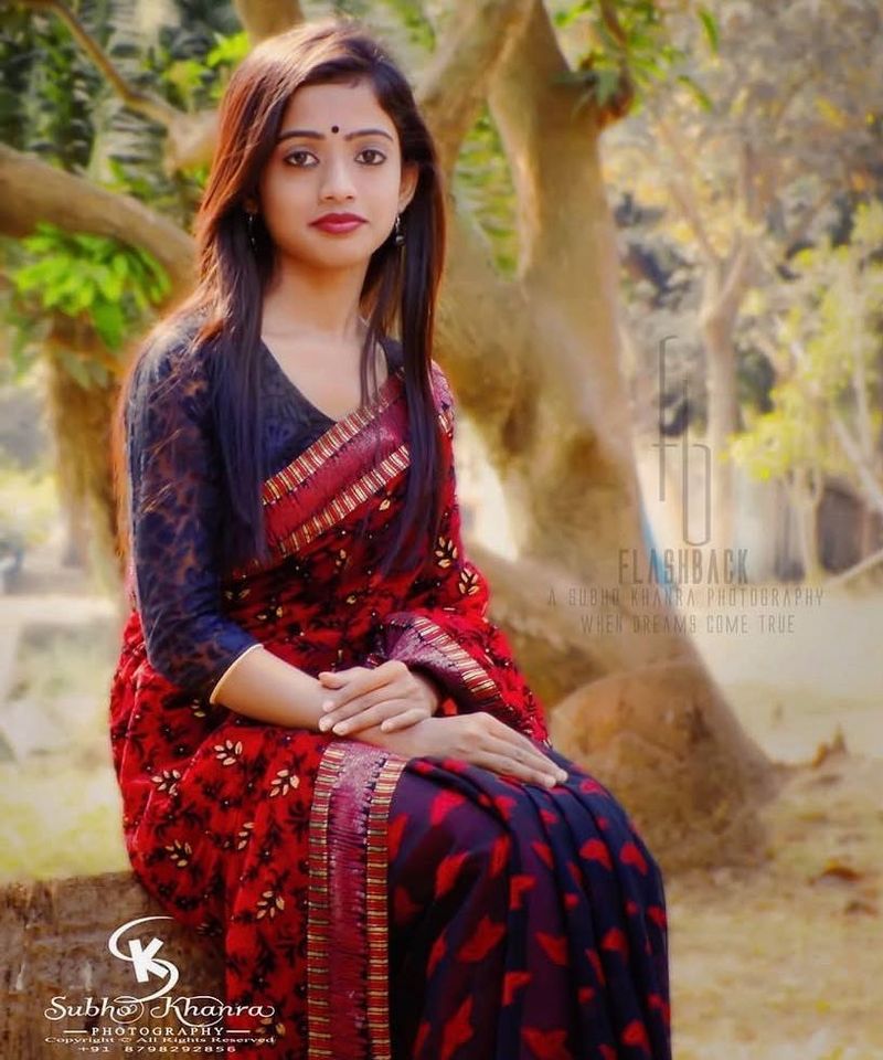 Beautiful Net Saree