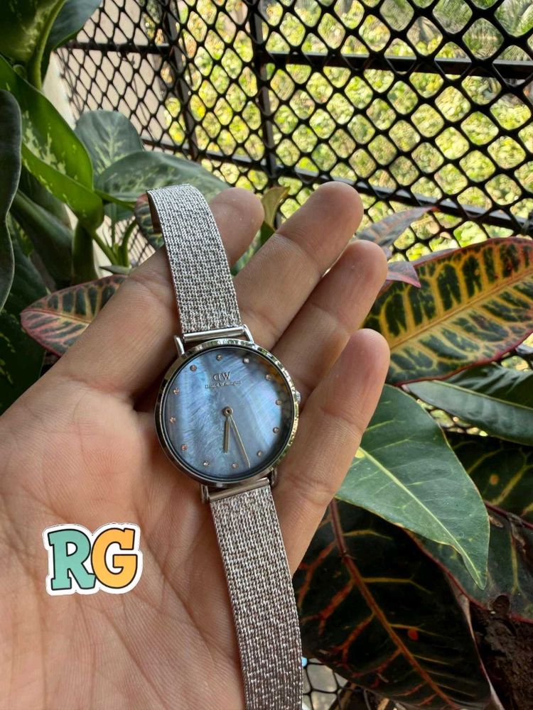 Elegant Silver Mesh Watch