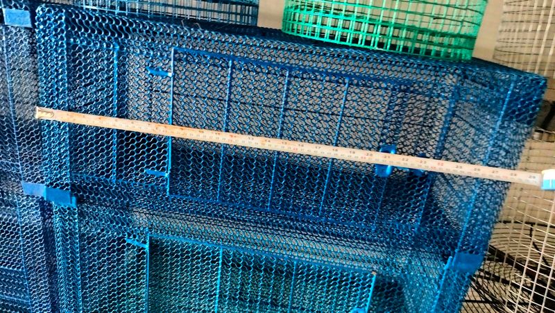 Cage For Birds ( Pijara)