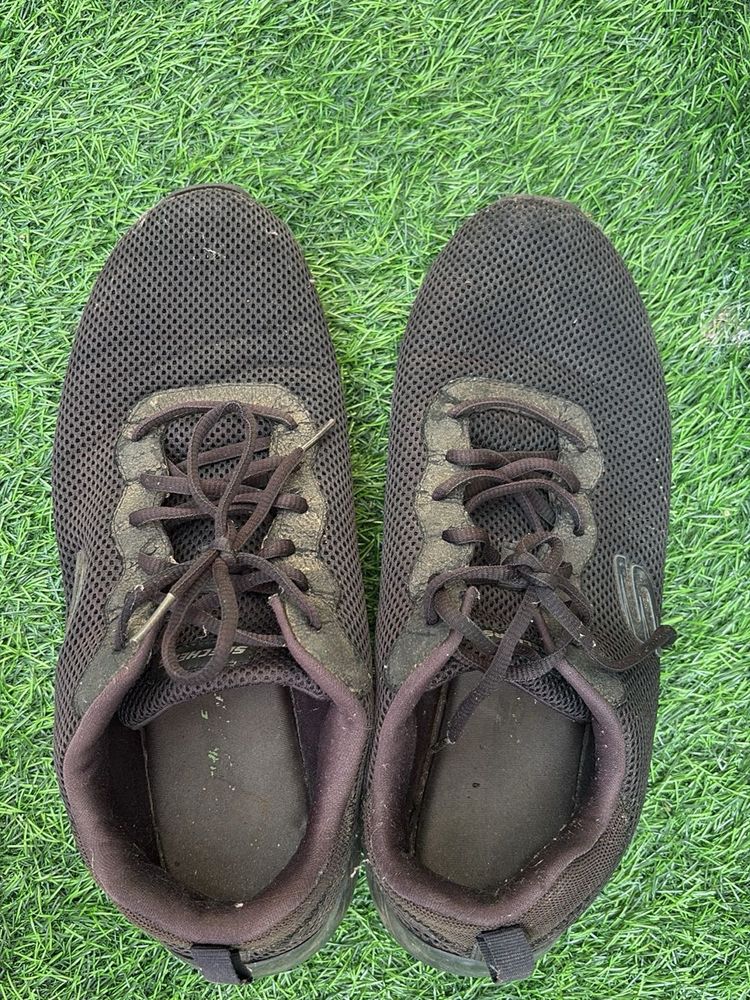 Skechers shoes