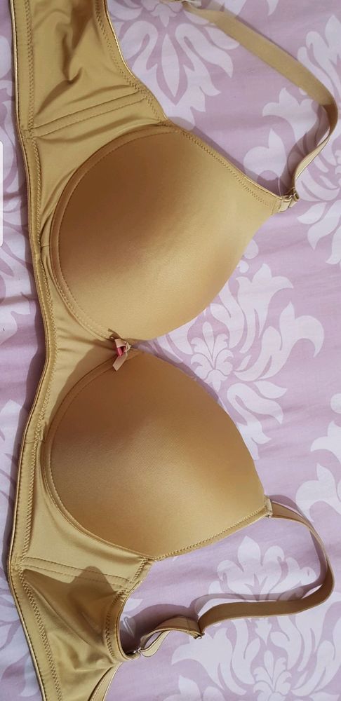 Enamor padded bra