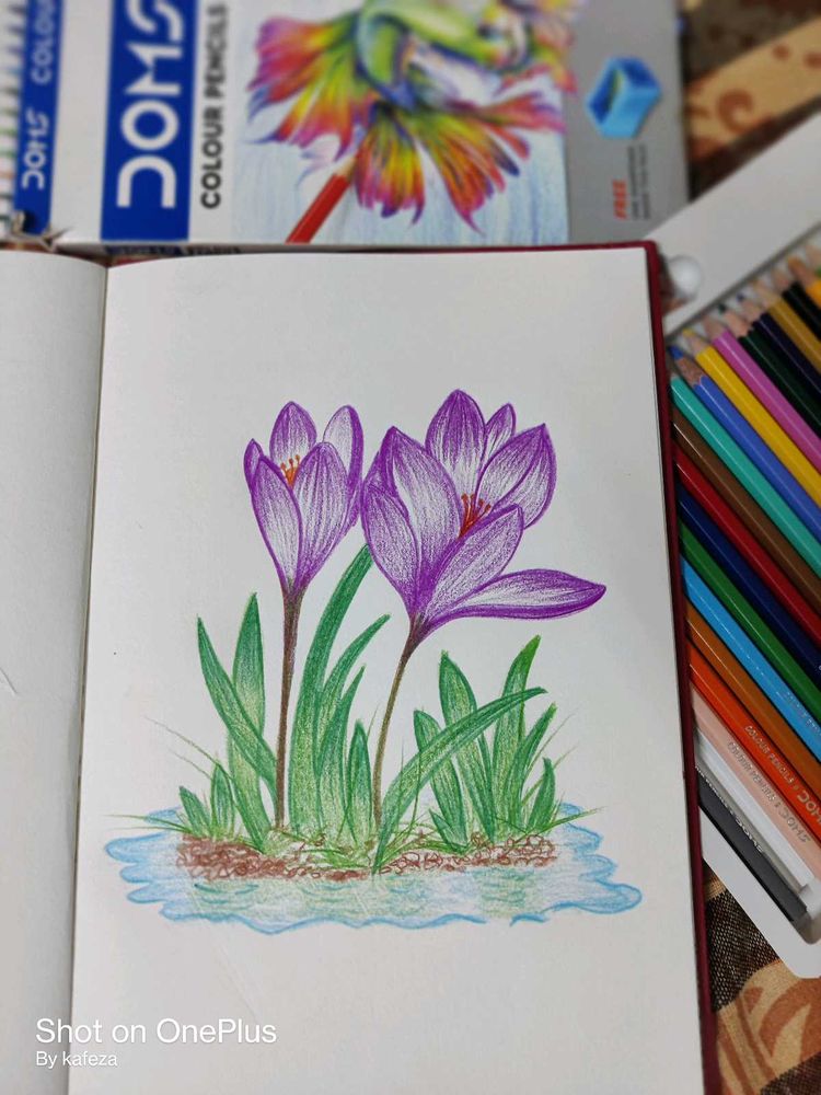 Floral Sketch (Drawing/Painting)