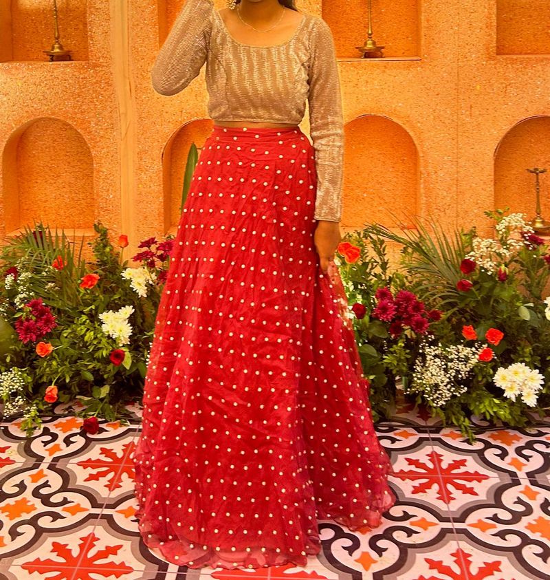 Red Embroidered Lehenga With Sequin Top
