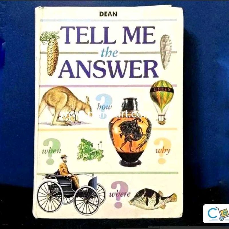 Tell Me The Answer: How, When, Why, Where