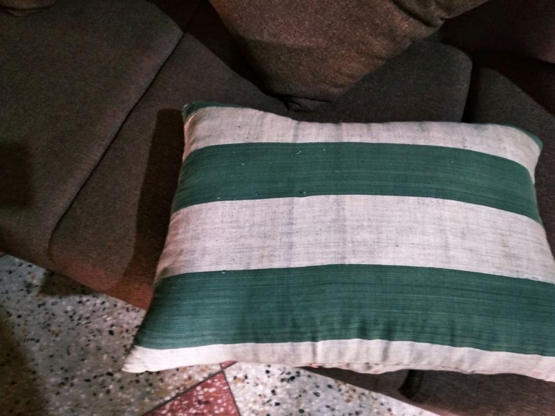 Cotton Pillow