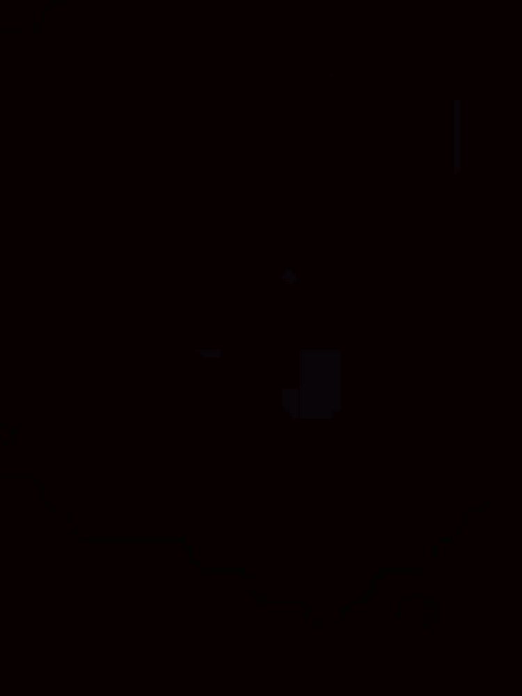 Test T4